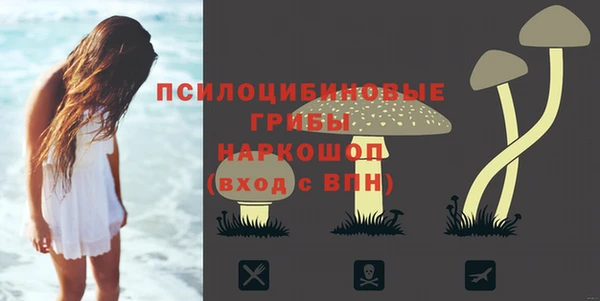 МДПВ Абаза