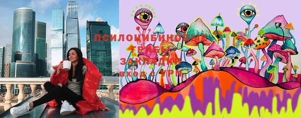 МДПВ Абаза